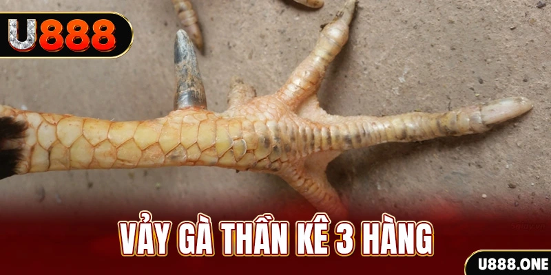 vm88 nổ hũ đổi thưởng . ai
