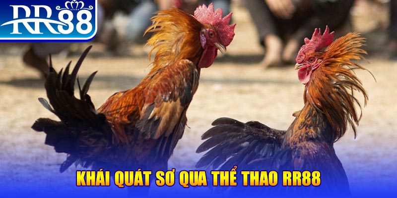 vm88 baccarat bịp như thế nào