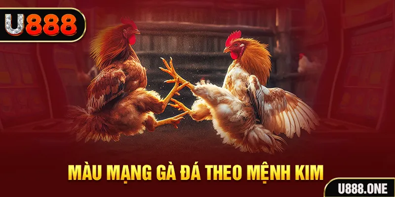 vm88 gà chọi tiêu phong