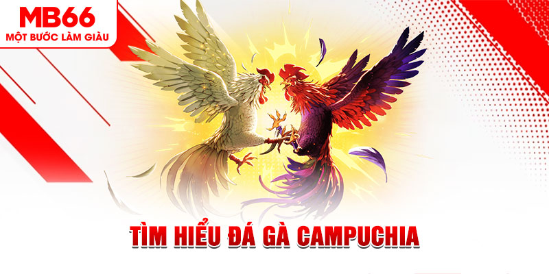 vm88 tại sao không tải được nổ hũ
