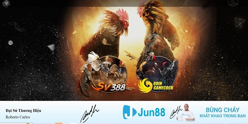 vm88 xổ số miền nam hàng tuần