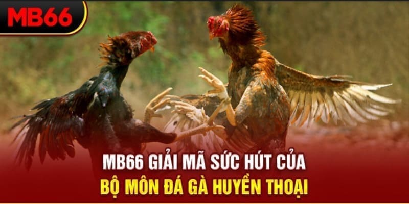 vm88 long bảo trong baccarat là gì
