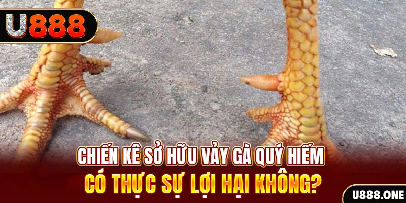 vm88 game cá cược máy bay
