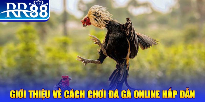 vm88 nổ hũ 2 mặt là gì