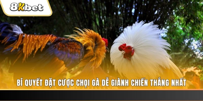 vm88 may club nổ hũ
