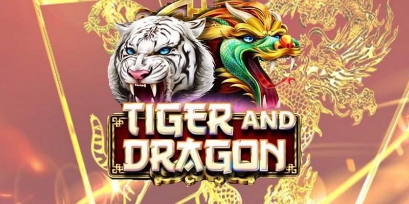 vm88 cá cược tiếng anh là gì