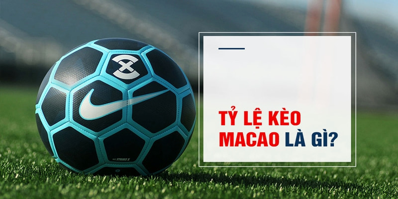vm88 Trăm Knorr