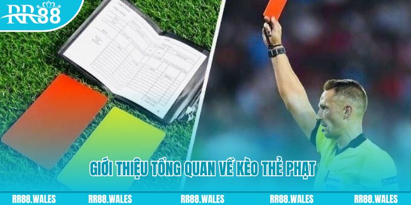 vm88 đá gà trực tiếp c1